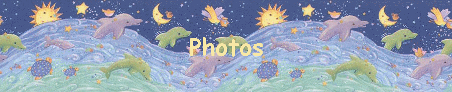 Photos