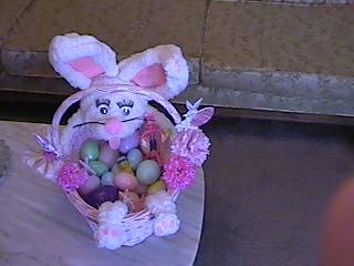 00_00014.jpg (12681 bytes)